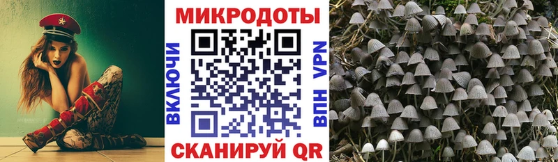 Галлюциногенные грибы GOLDEN TEACHER  KRAKEN зеркало  Мыски 