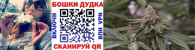 купить   Мыски  Каннабис ГИДРОПОН 